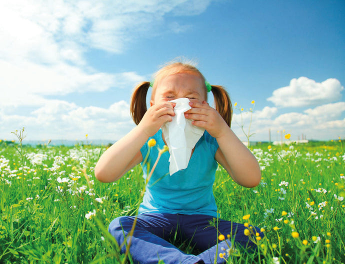 Quelle pierre contre les allergies?